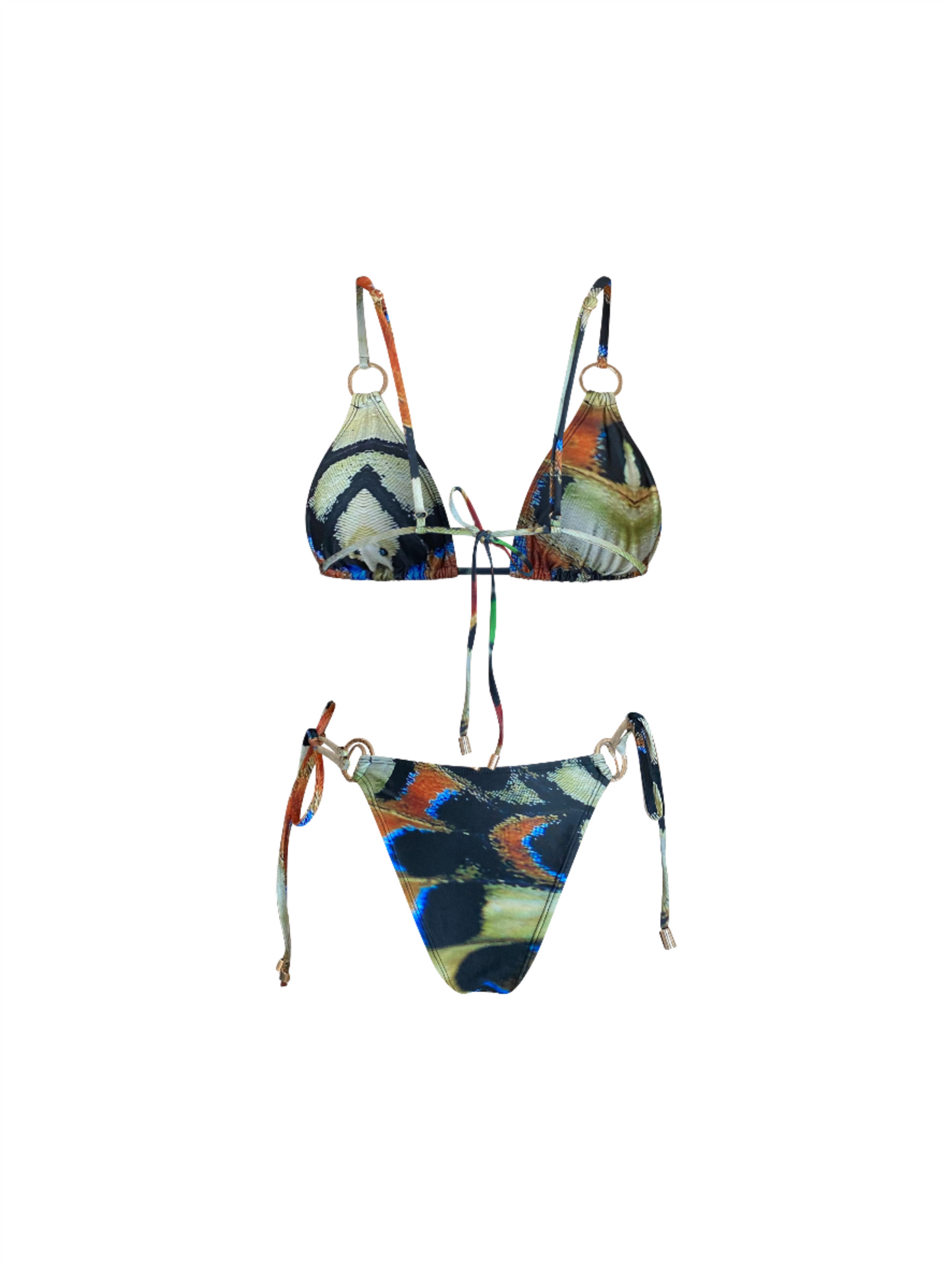 BAJAN BUTTERFLY - SAME SIZE